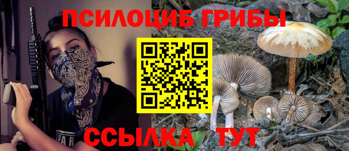 Прокопьевск  Галлюциногенные грибы ЛСД  Вход с VPN 